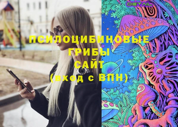 ПСИЛОЦИБИНОВЫЕ ГРИБЫ Новокубанск