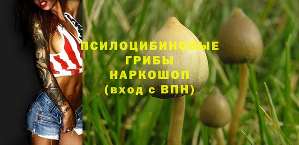 не бодяженный Новодвинск