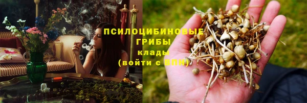 амфетамин Новозыбков
