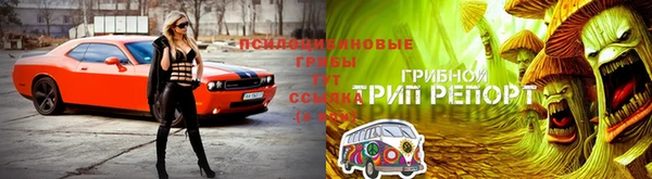 не бодяженный Новодвинск