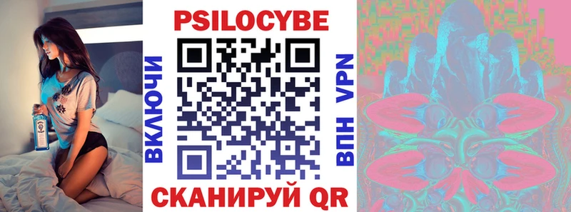 дарнет шоп  Лениногорск  Псилоцибиновые грибы GOLDEN TEACHER 