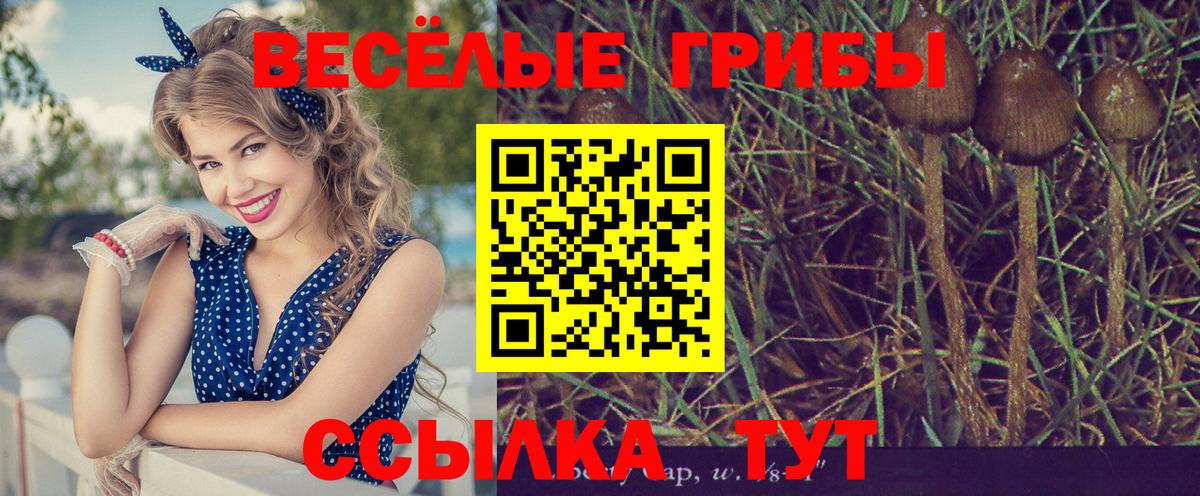 Конопля  Каннабис  Вейп ТГК  Лениногорск  Вход с VPN  Ешки  Гашиш  25-NBOMe  Меф  Кокаин 