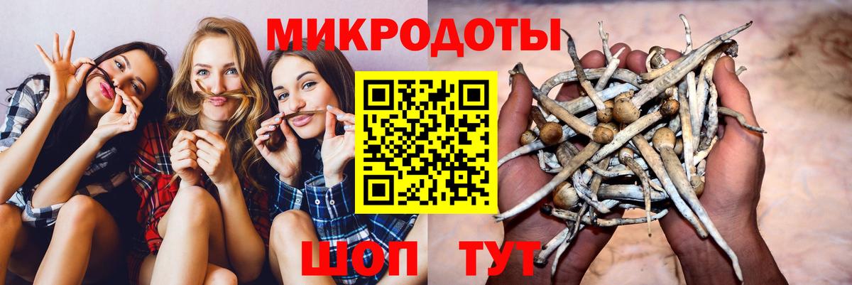 Галлюциногенные грибы Magic Shrooms  Вход с VPN  Лениногорск 