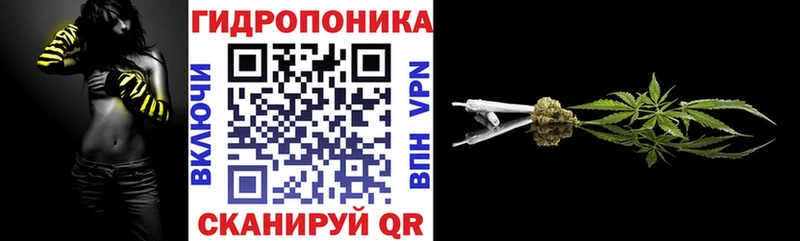 Шишки марихуана семена  Лениногорск 