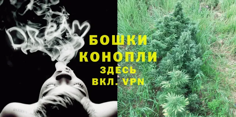 Бошки Шишки OG Kush  купить наркотик  Лениногорск 